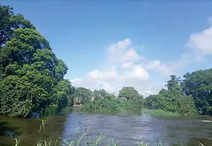 Le fleuve Kienké qui borde le centre